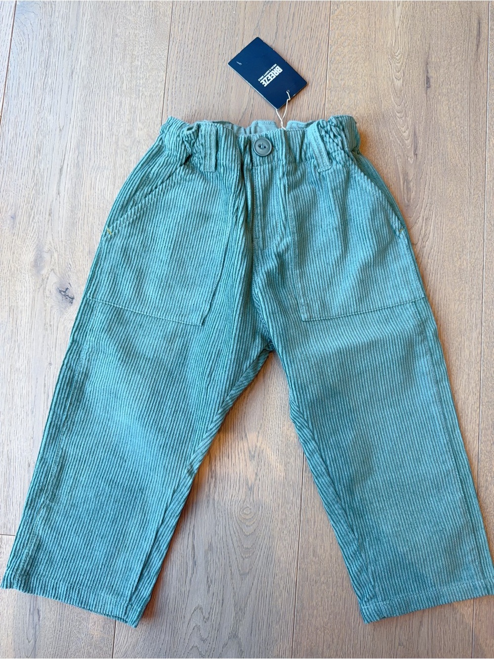 Kids Corduroy Pull-On Pants in Teal